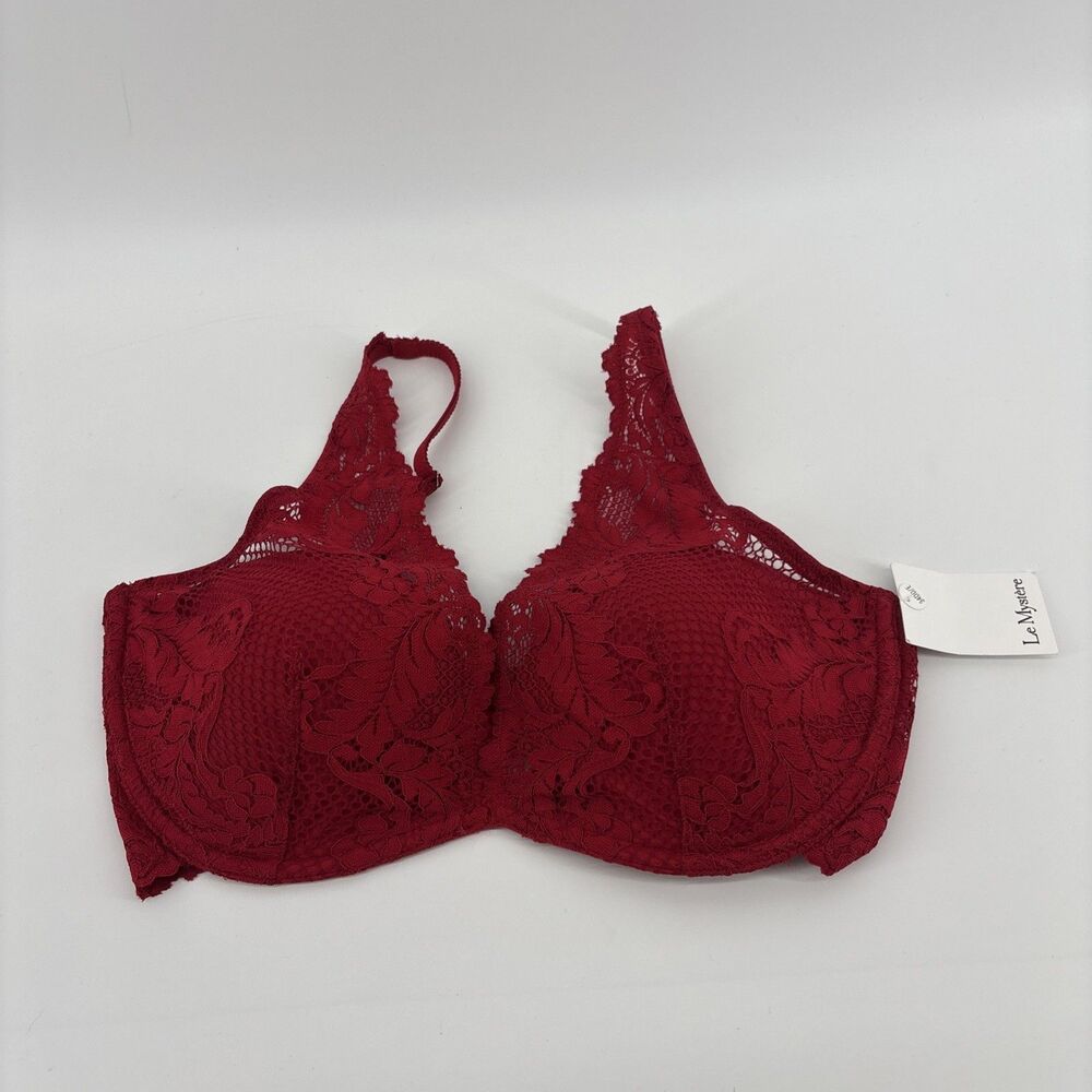 La Mystere Lace Allure Plunge Bra Red Women's Size 34DD/E NWT